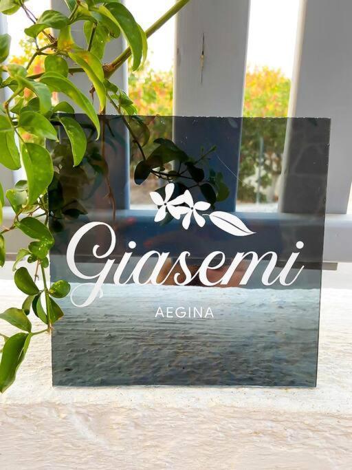 Villa Giasemi Aegina, Modern House Exterior foto